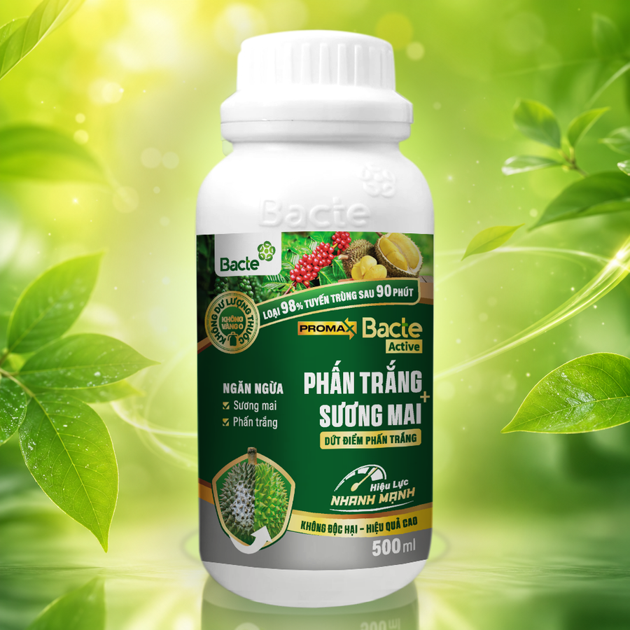 Bacte Active Phấn trắng - Sương mai Promax