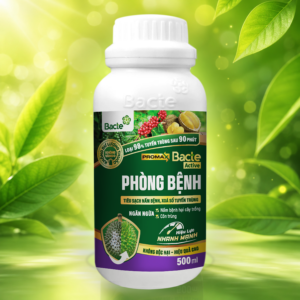 Bacte Active Phòng bệnh Promax