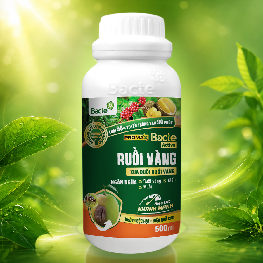 Bacte Active Ruồi Vàng Promax