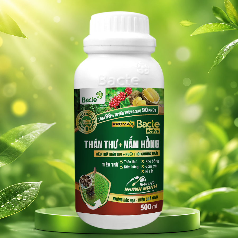 Bacte Active Thán thư - Nấm hồng Promax
