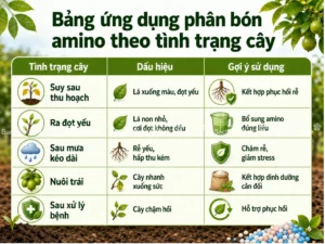 Bảng ứng dụng phân bón amino theo tình trạng cây