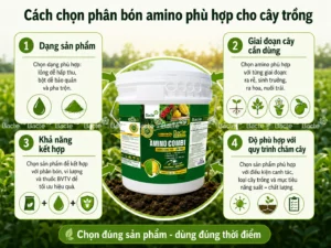 Cách chọn phân bón amino phù hợp cho cây trồng