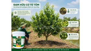 Cơ chế hấp thu đạm tôm giúp cây sử dụng dinh dưỡng hiệu quả hơn