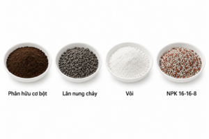 Nhóm phân bón cây hồ tiêu